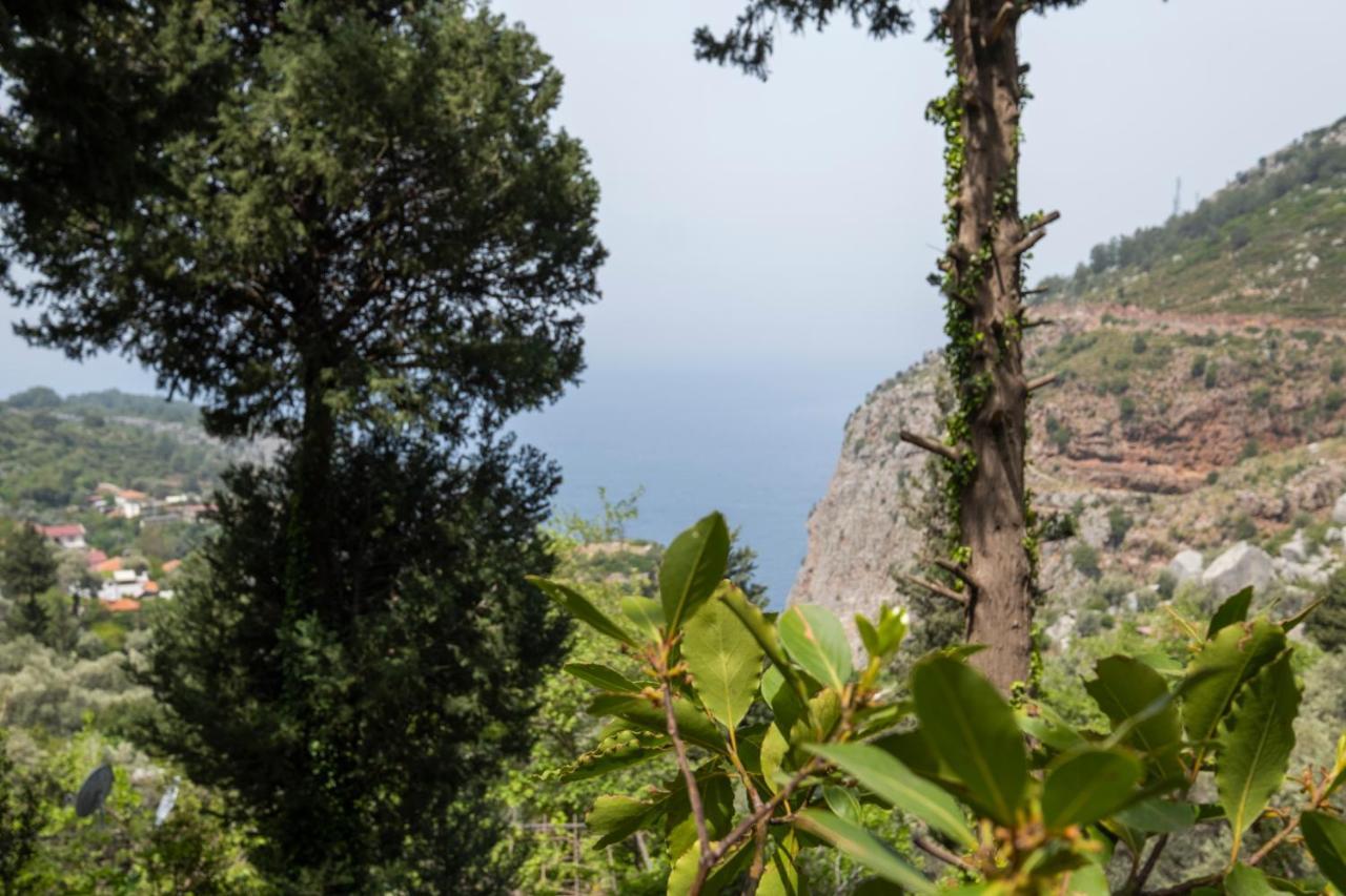 Watermill Villa & Hotel Faralya Φετιγιέ Εξωτερικό φωτογραφία